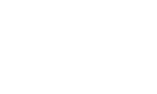 Berzerk Design